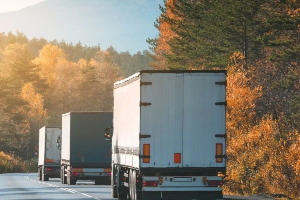 Ankara Patnos Nakliyat